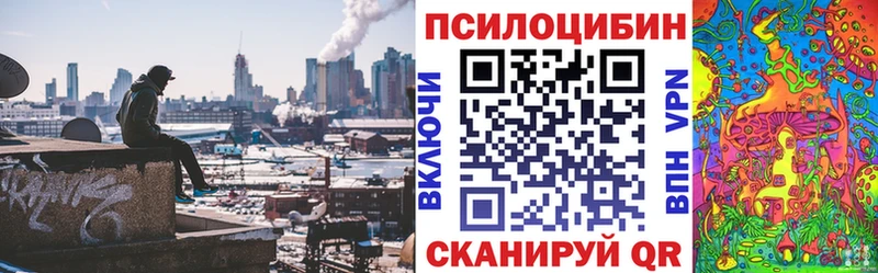 Псилоцибиновые грибы Psilocybe  Нягань 